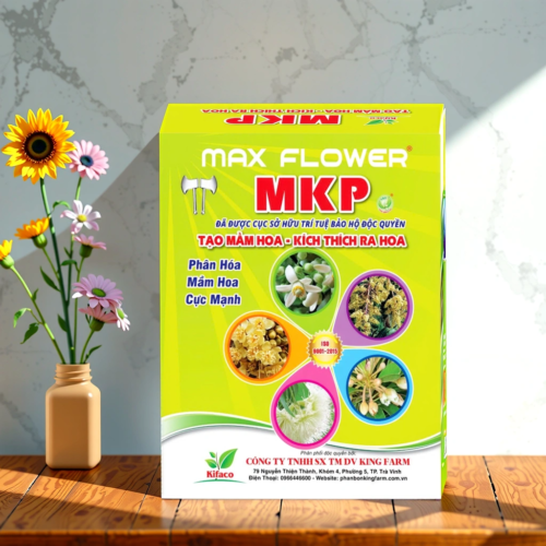 PHÂN BÓN MAX FLOWER MKP KF30