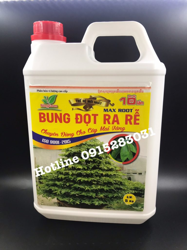 bung dot ra re 5kg