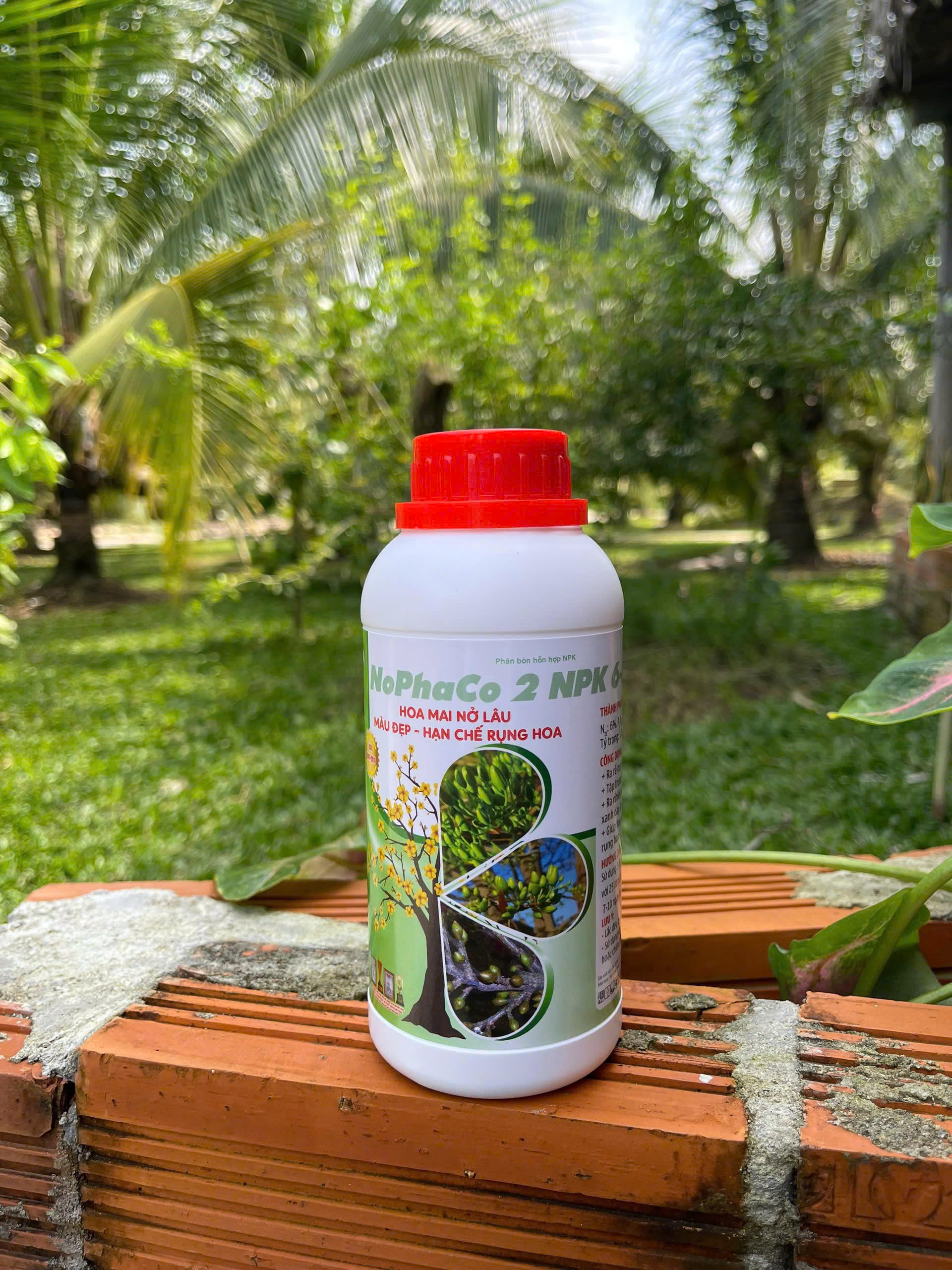 Ảnh sản phẩm 2