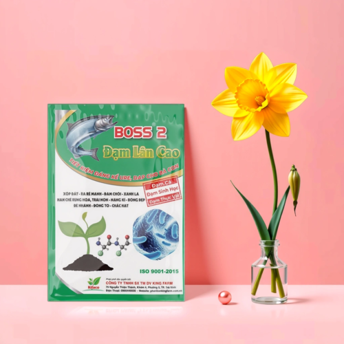 BOSS 2 ĐẠM LÂN CAO GÓI 500G KFB3