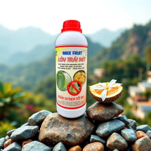 PHÂN BÓN MAX FRUIT LỚN TRÁI MÍT OKF12