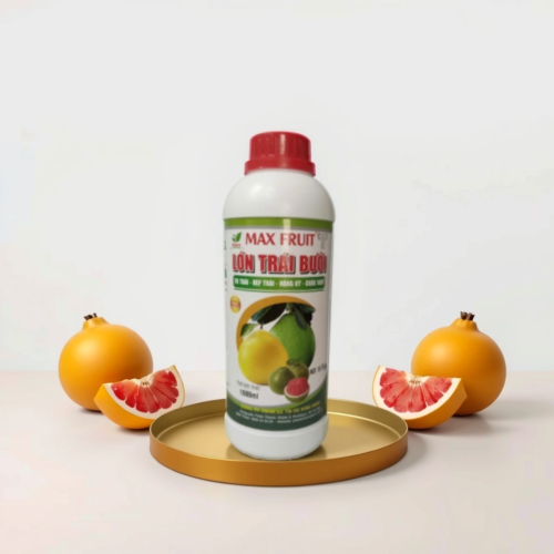 MAX FRUIT LỚN TRÁI BƯỞI