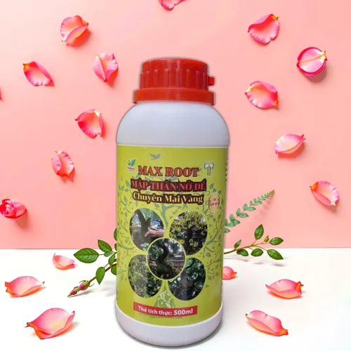 MAX ROOT MẬP THÂN NỞ ĐẾ