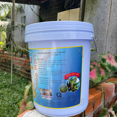 HUMIC RICH RONG BIỂN mặt sau