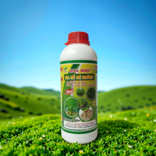 MAX ROOT RA RỄ ĐẺ NHÁNH