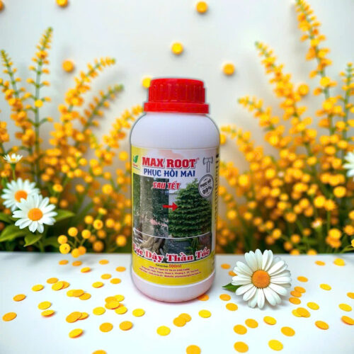 PHÂN BÓN MAX ROOT PHỤC HỒI MAI SAU TẾT OKF20