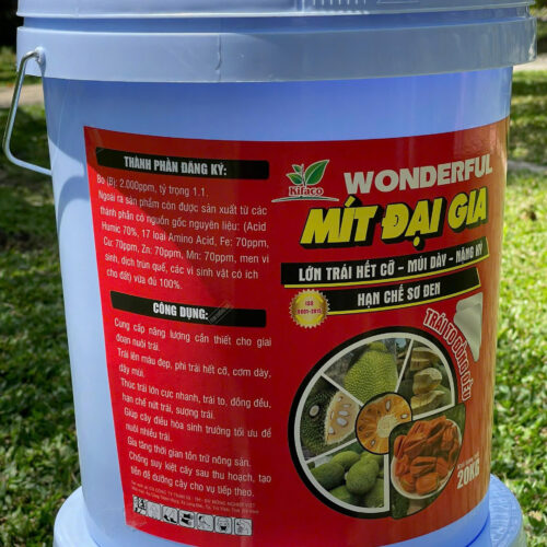 Wonderful Mít đại gia mặt sau