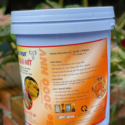 Max Fruit Lớn trái mít mặt sau