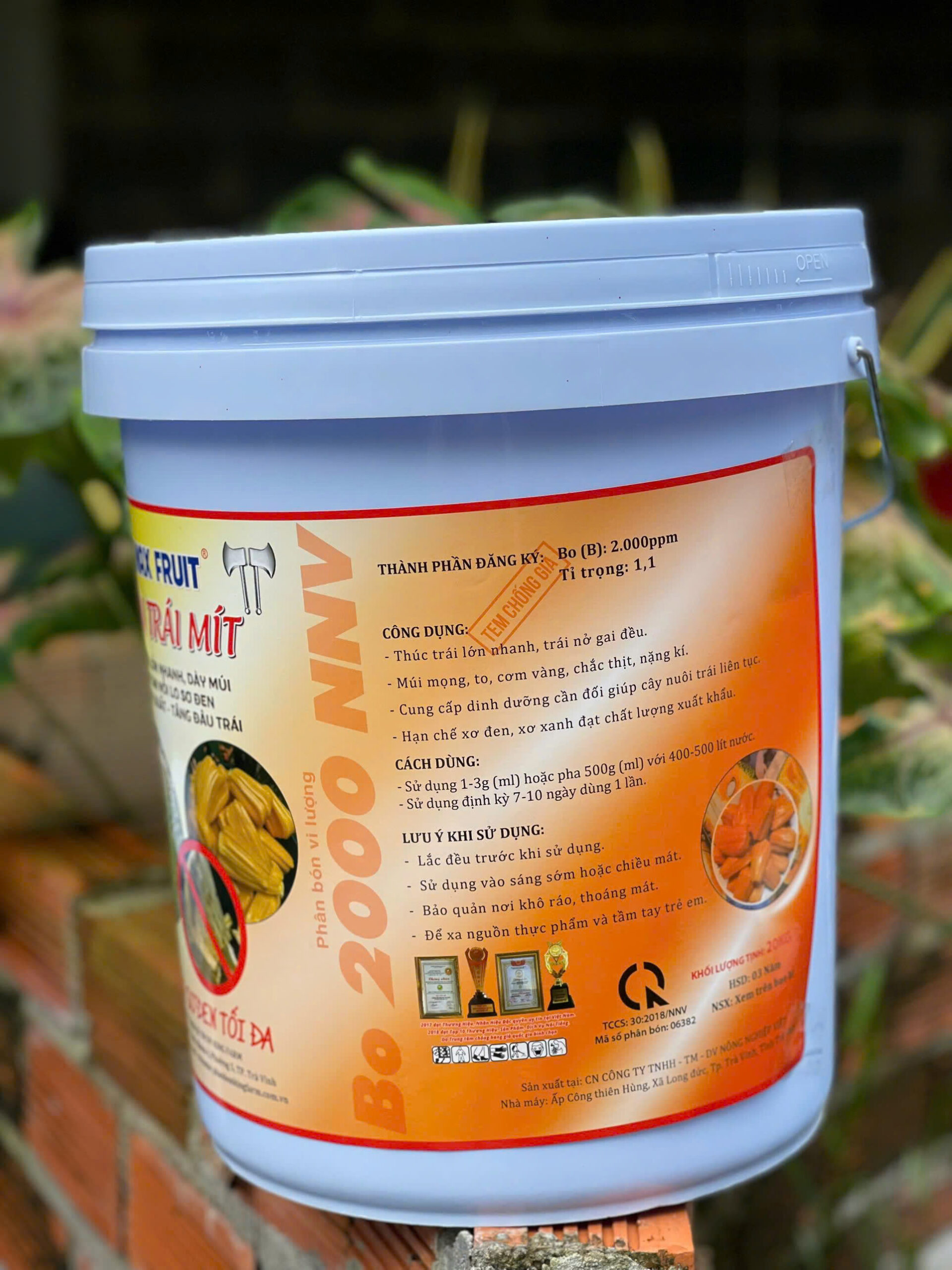 Max Fruit Lớn trái mít mặt sau Max Fruit Lớn trái mít mặt sau