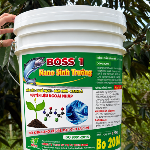 PHÂN BÓN BOSS 1 – NANO SINH TRƯỞNG (F) (22KG) (OKF126)