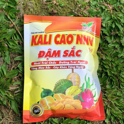 KALI CAO NNV OKF57