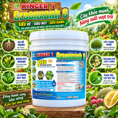 PHÂN BÓN KINGER 1 - SIÊU RỄ - SIÊU ĐỌT - SIÊU XANH (22KG) (OKF102)