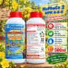 PHÂN BÓN MAX FLOWER - DƯỠNG NỤ MAI (500ML) (OKF104)